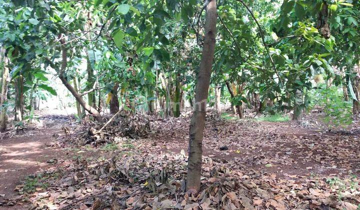 Dijual Cepet Tanah Hook Cikunir Raya Bekasi Selatan Jaka Mulya 1