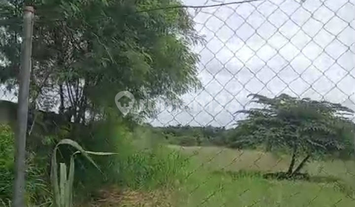 For Rent 4 Hectares of Land in Gunung Sindur Industrial Area.