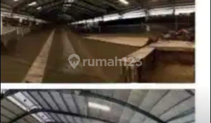 Gudang Besar dan Luas Daerah Kelapa Gading