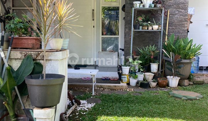 Rumah Siap Huni dengan Hunian Nyaman dan Asri di Bintaro Sektor 9. 2