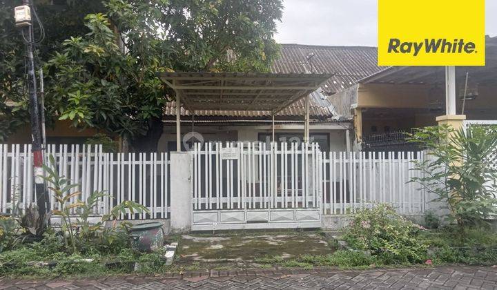 Disewakan Rumah di Jalan Ikan Lumba Lumba Perak Surabaya 1