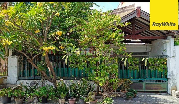 Dijual Rumah 2 Lantai di Ngagel Tama Tengah Surabaya 1