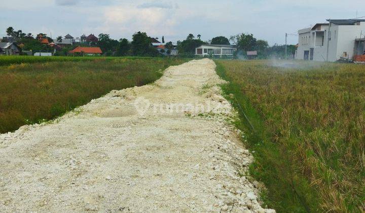 DI SEWAKAN YANAH LINGKUNGAN VILA DN VIEW SAWAH DI KEDAMPANG 5