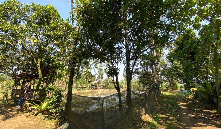 Tanah di Bojong kemang Bogor barat 4
