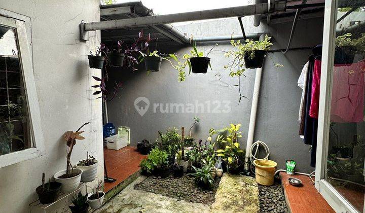  Tinggal Didalam Kota Bogor Pas Banget  Rumah Tazmania Kota Bogor Utara  Dijual  2