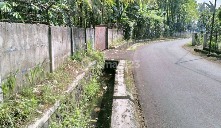 Tanah produktif daerah  subur ,sejuk. ,komersil Dijual dekat  Campus IPB Dramaga Bogor 1