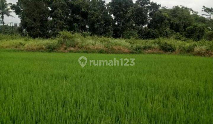 DI JUAL TANAH  CIPINANG Rumpin Bogor 1