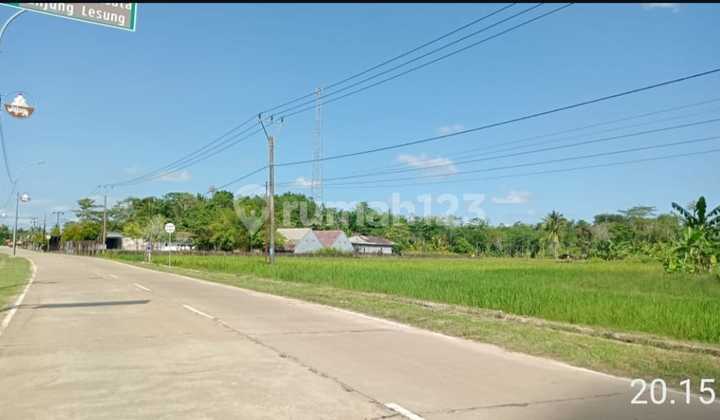 For Sale Land in Tanjung Lesung Tourism Area