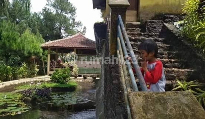 For Sale Villa Tourist Area For Sale Villa Tourist Area