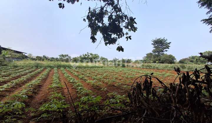 Dijual Murah Tanah Di Legok, Pinggir Jalan Raya, Dekat Pintu Tol Bsd.3, Tangerang