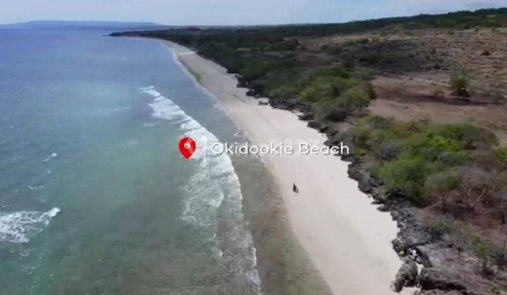 Jual Tanah Investasi di Sumba Okidookie Beach Sumba Tengah 2