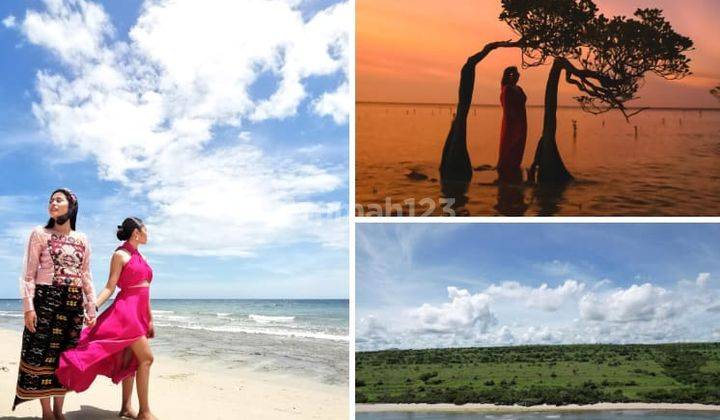Jual Tanah Investasi di Sumba Okidookie Beach Sumba Tengah 5
