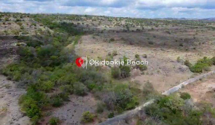 Jual cepat Tanah Investasi di Sumba Tengah Ntt Okidookie Beach 10