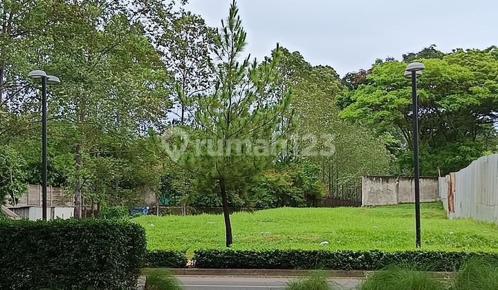 Quick Lease Commercial Plot BSD City Main Boulevard