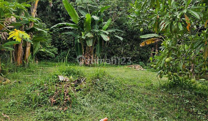 Jual Cepat Kavling Perumahan Bale Tirtawana Bsd Rumpin Bogor  2