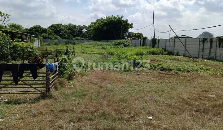 For Sale, Neglasari Land, Tangerang, Rawa Kucing, Suitable For Warehousing, Home Industry, Livestock