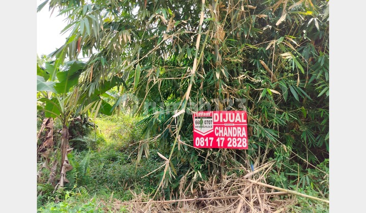 Dijual Tanah 1 Hektar Cocok Bangun Perumahan di Leuwisadeng, Kabupaten Bogor