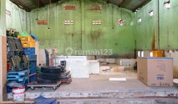 Tempat pemotongan ayam Gentan solo 3