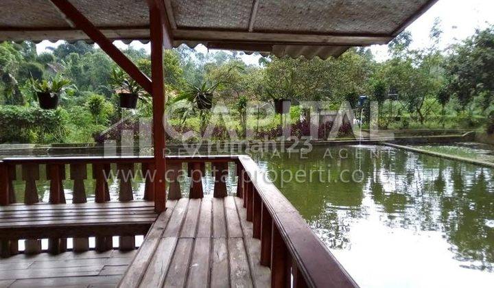 Rumah Villa Tjantique Kabupaten Garut Jl. Raya Cigedug 15