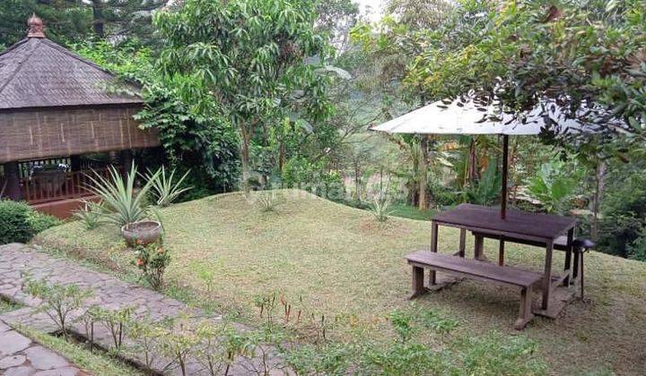 Villa dengan aneka pohon buah - Ciampea Bogor 4