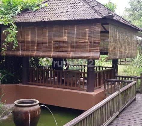Villa dengan aneka pohon buah - Ciampea Bogor 5