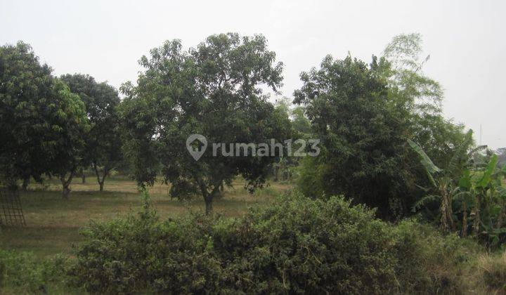 Jual Cepat Tanah Siap Bangun Lokasi Strategis Di Mojokerto 1