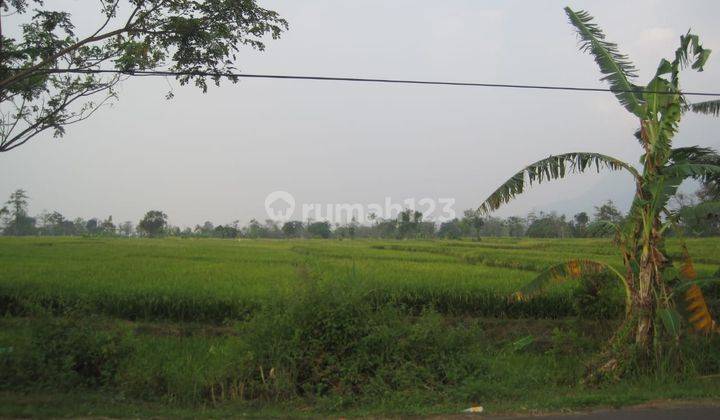  jual Cepat Tanah Sawah Purworejo Mojokerto  2