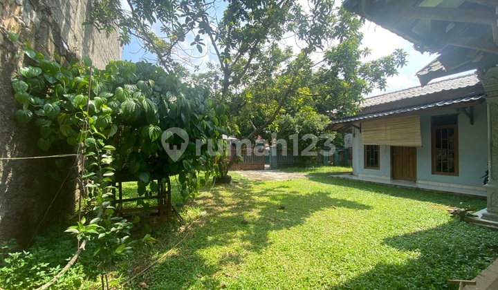 Rumah Dengan Halaman Luas Siap Huni Rumah Dengan Halaman Luas Siap Huni