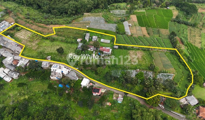 For Sale: 10,061 m2 of Land in the Hilly Area of Gadog, Ciawi