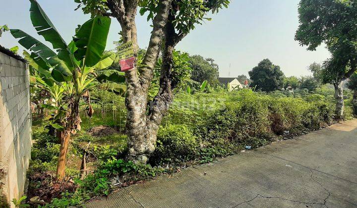 Tanah Serbaguna di Bedahan Cocok untuk Usaha dan Kebun  1