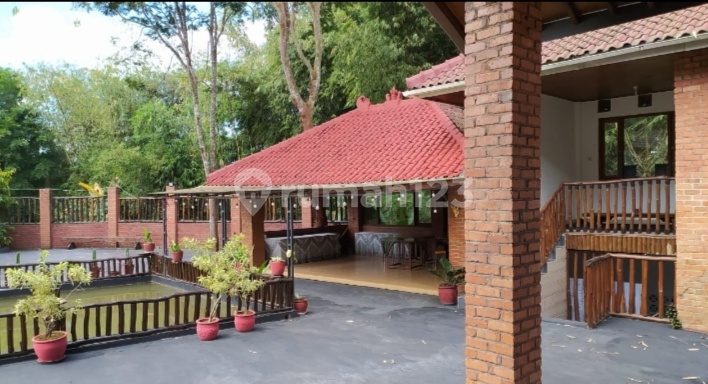 Vila Atau Ruang Usaha Yang Nyaman Dan Cantik 1