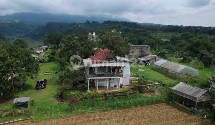 Tanah Dijual Cepat Daerah Gadog Luas 10.060 M² (1 Ha)