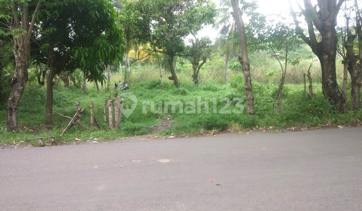 Tanah 5000 m² Cocok Villa / Bisnis Kawasan Wisata Pelabuhan Ratu