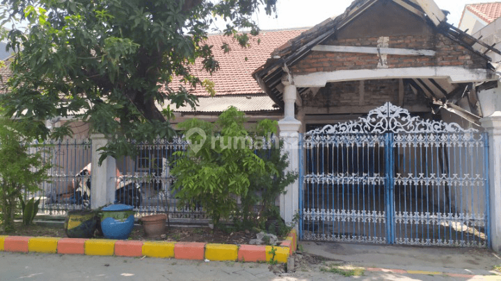 Dijual Rumah Di Jalan Ikan Cumi cumi Surabaya Kt 1