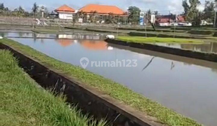 TANAH BEACH FRONT KOMERSIAL PANTAI MEDEWI JEMBRANA SHM WALKING DISTANCE KE PANTAI 4