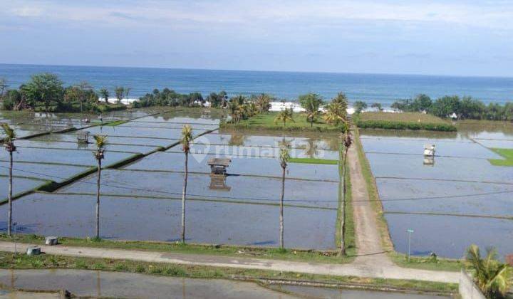 TANAH BEACH FRONT KOMERSIAL PANTAI MEDEWI JEMBRANA SHM WALKING DISTANCE KE PANTAI 1