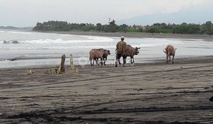 TANAH KOMERSIAL DIPINGGIR JALAN RAYA JALAN KAKI KE PANTAI MEDEWI PEKUTATAN PARAMOUNT PARK 6