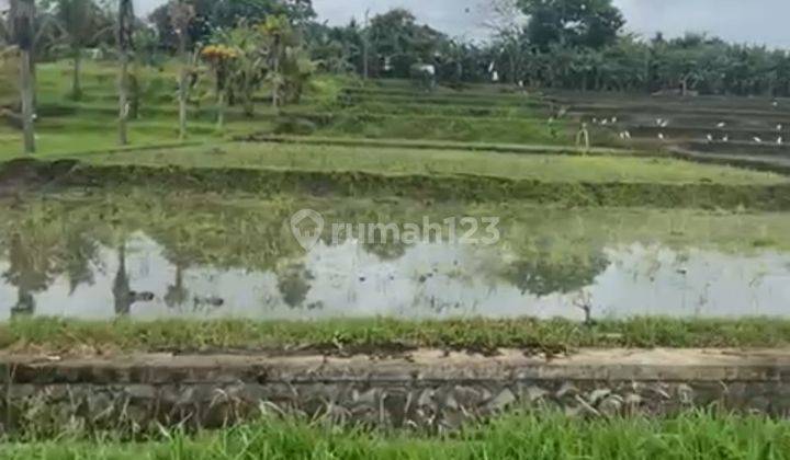 TANAH KOMERSIAL DEKAT PANTAI MEDEWI SHM 3