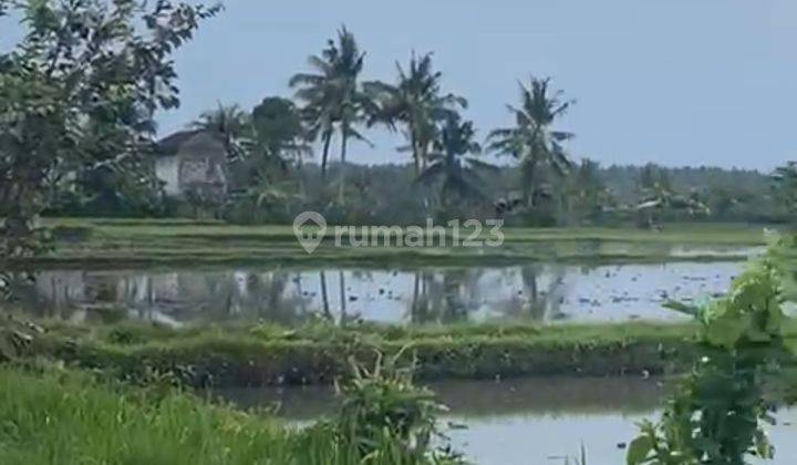 TANAH KOMERSIAL DEKAT PANTAI MEDEWI SHM 4