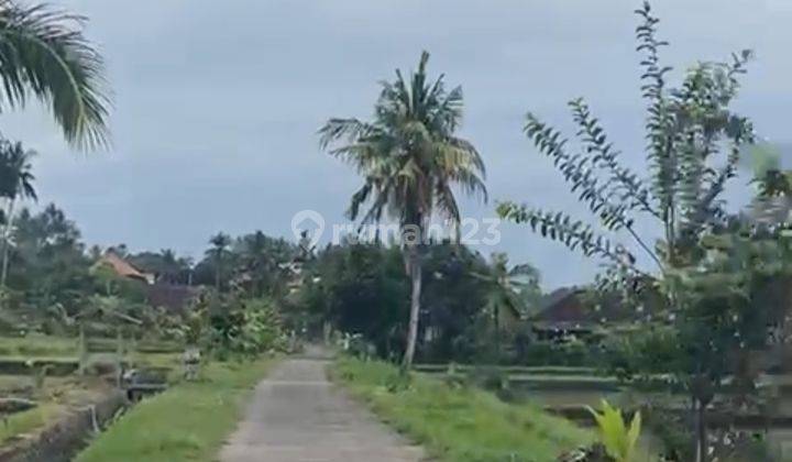 TANAH KOMERSIAL DEKAT PANTAI MEDEWI SHM 5