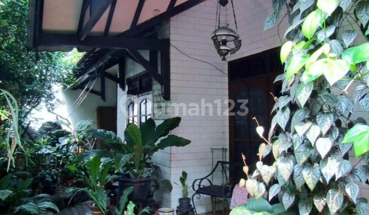 Rumah Butuh Renovasi Total Unfurnished Cilandak, Jakarta Selatan