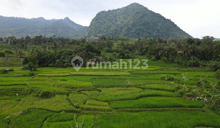 Jual Tanah kavling dengan tema wisata pedesaan 200 m² 2