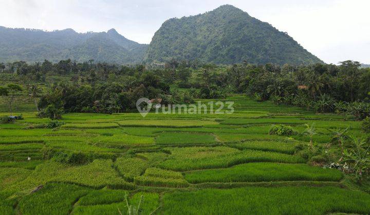 Jual Tanah kavling dengan tema wisata pedesaan 200 m² 5