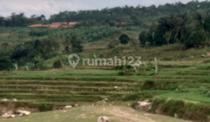 Jual Tanah kavling dengan tema desa wisata! Auto cuan! 2