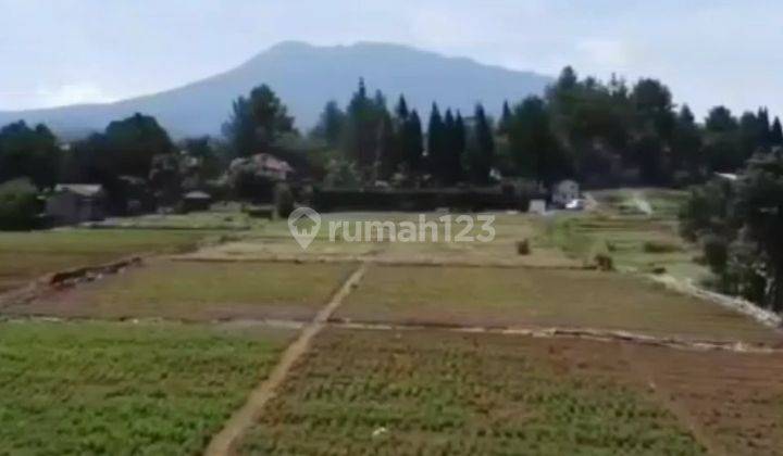 Dijual Tanah Kavling Dengan Lokasi Strategis dan Zona kuning 2