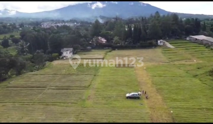 Dijual Tanah Kavling Dengan Lokasi Strategis dan Zona kuning 4