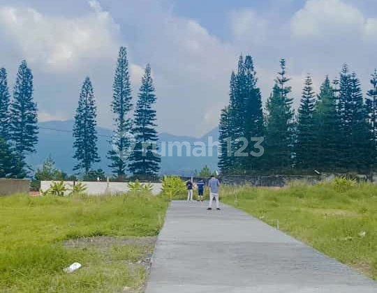 Dijual tanah murah lokasi strategis dekat dengan jalan raya 6