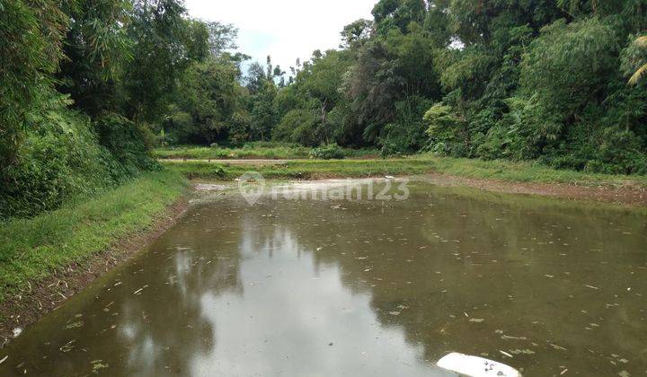 Dijual Tanah Lokasi Strategis di Cisela Sukabumi 2