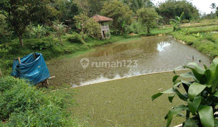 Dijual Tanah Lokasi Strategis di Cisela Sukabumi 5