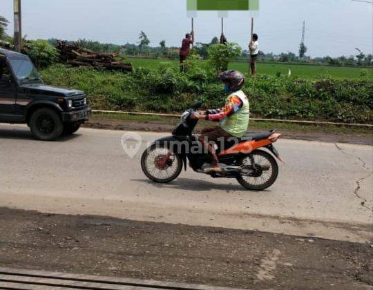 Dijual Tanah Luas Sudah Ada Izin Bangun Sutet di Jl. Laswi 2